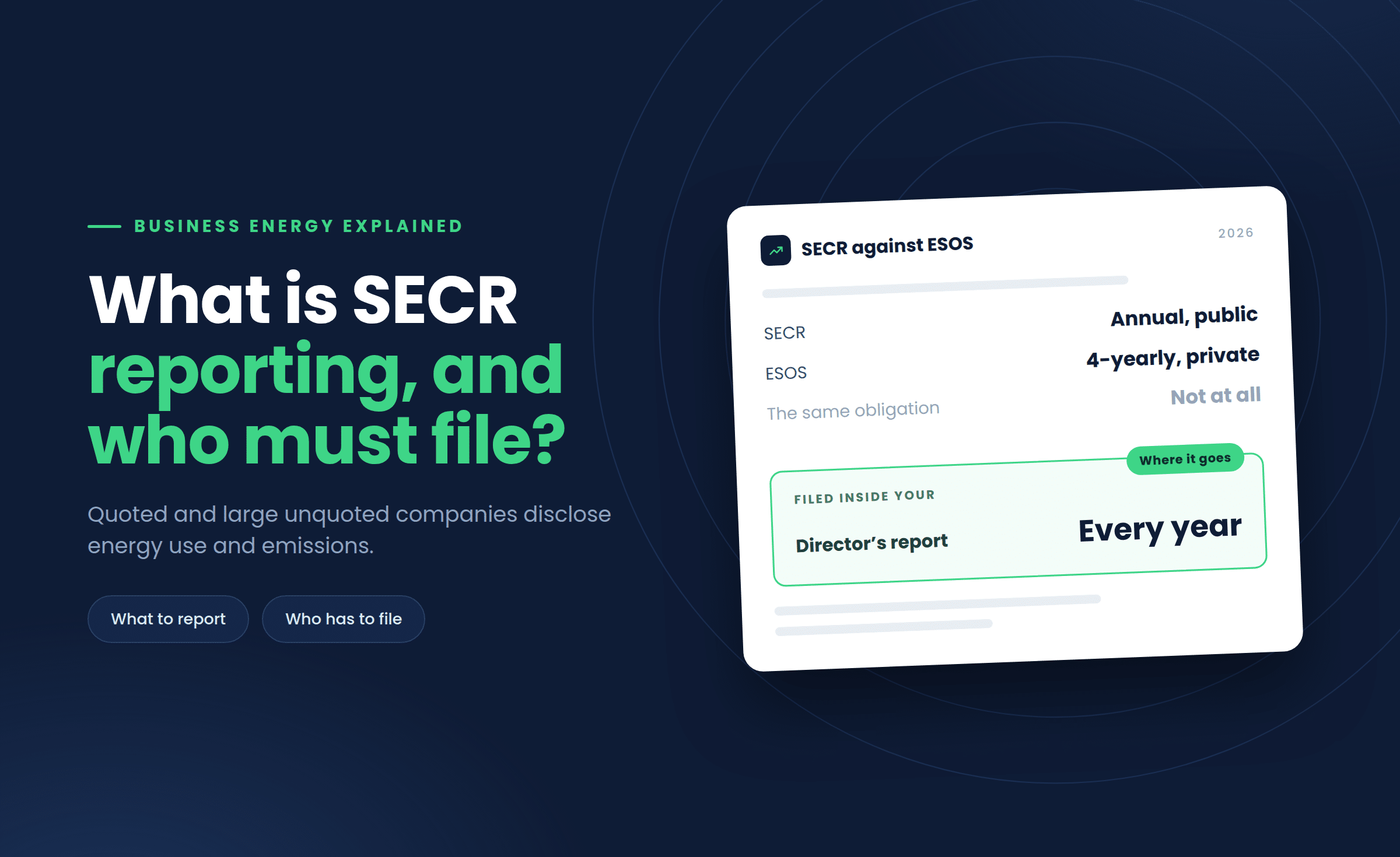 What Is SECR Reporting and Which Businesses Must File It?