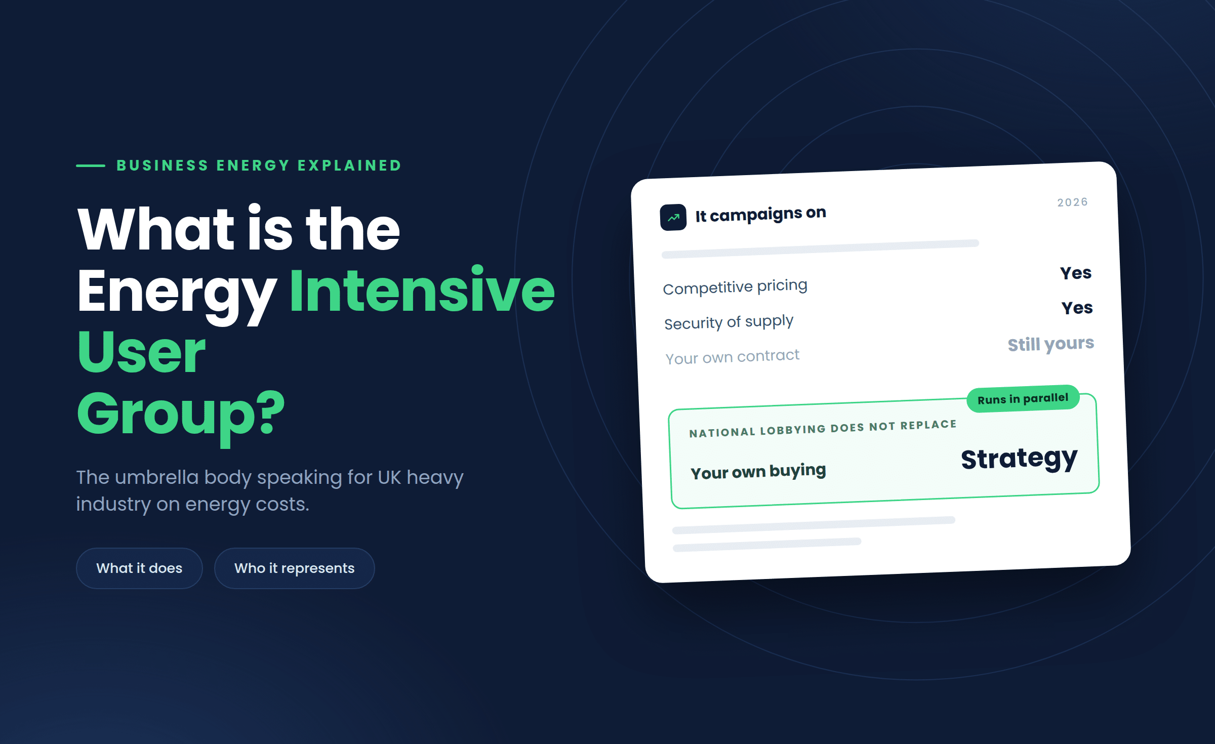 What Is the Energy Intensive User Group?